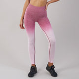 Women High Waist Yoga Pants